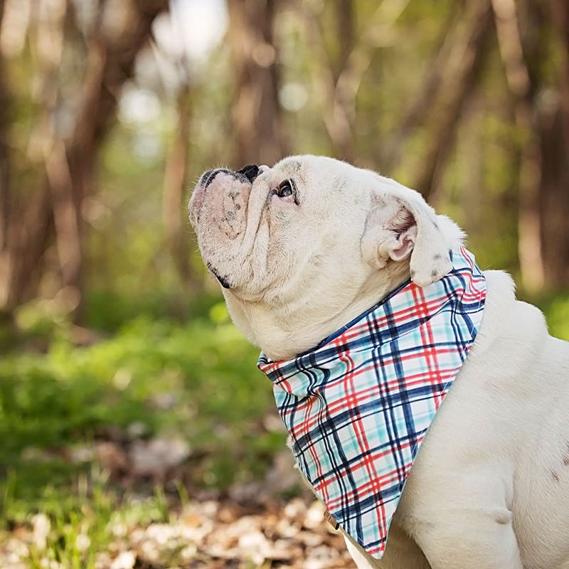 Sail Boats Reversible Bandana