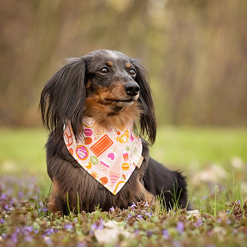 Fresca Reversible Bandana