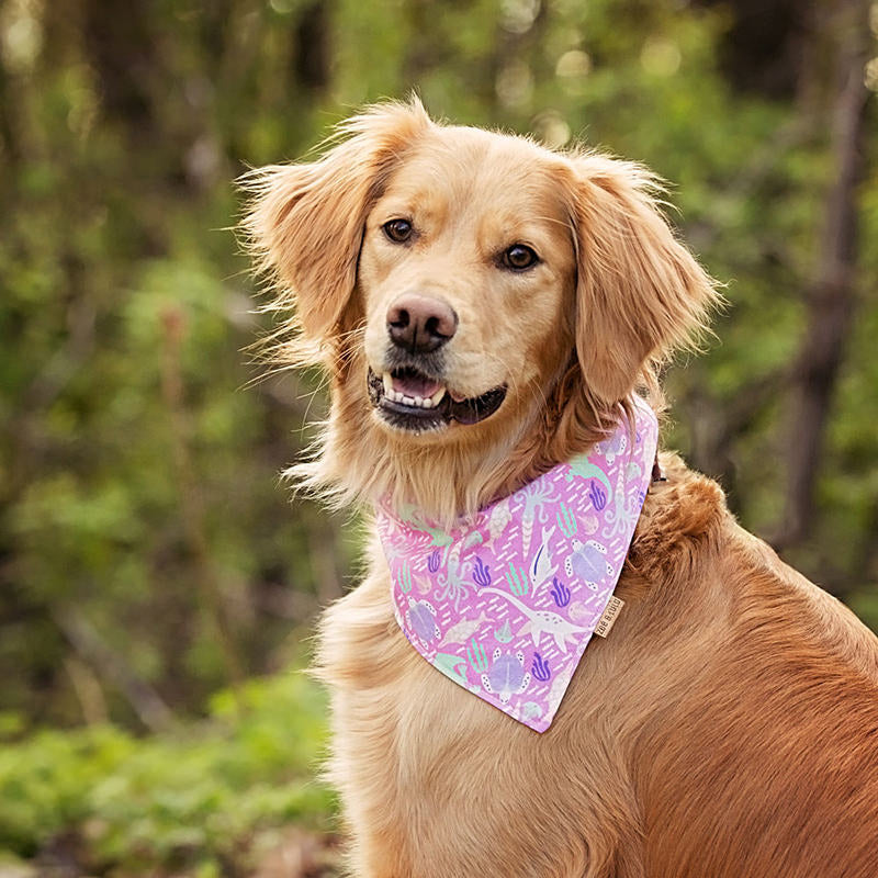 Grenade Reversible Bandana