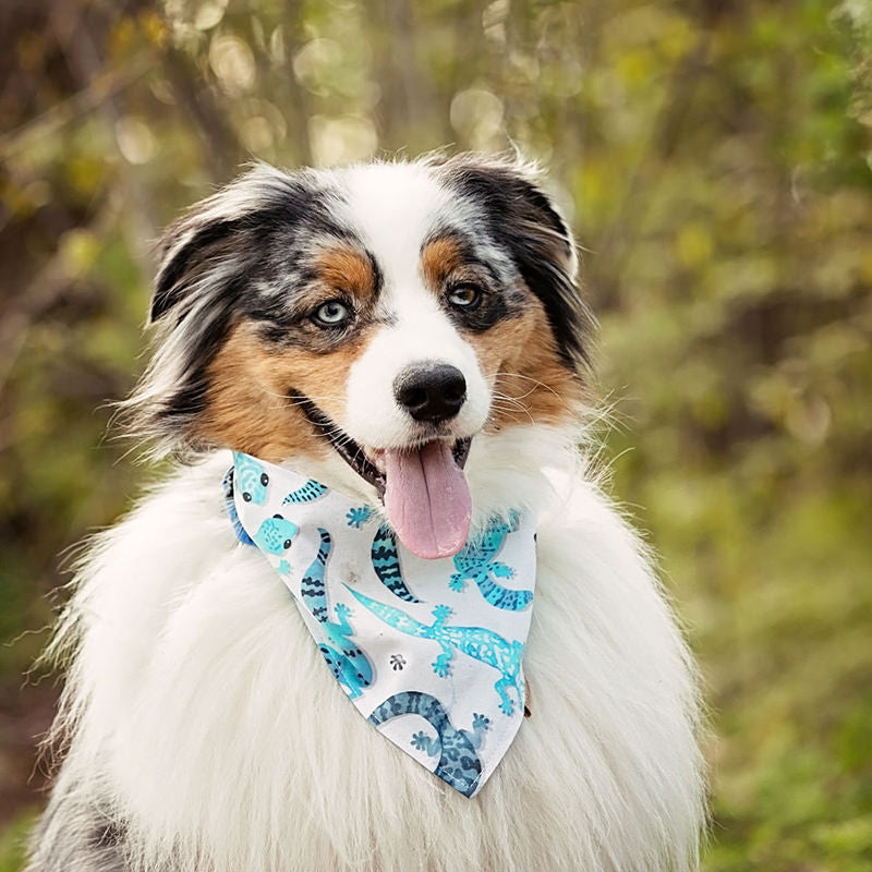 Coco the Gecko Reversible Bandana