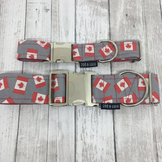 Collier pour Chien Canada
