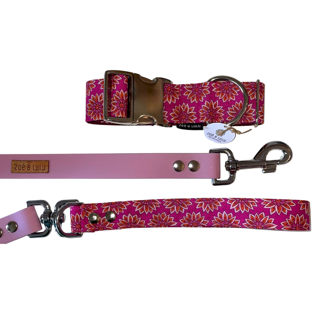 Rome Hybrid Splash Leash