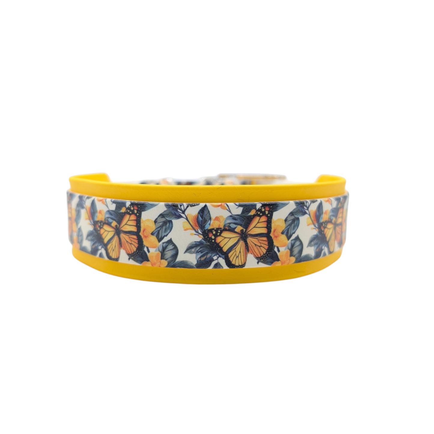 Collier pour chien papillon - Splash biothane imprimé