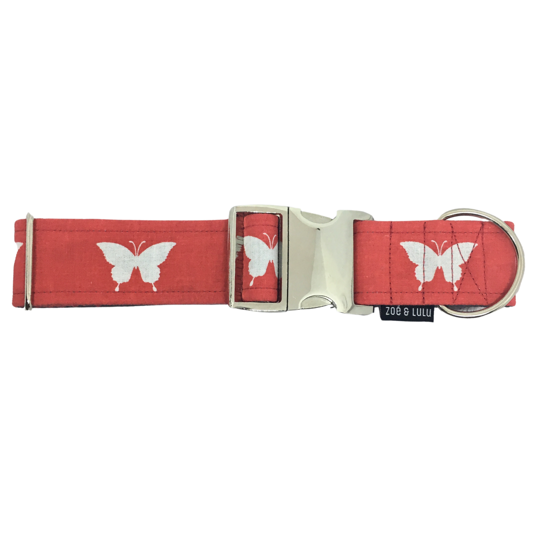 Butterflies Dog Collar