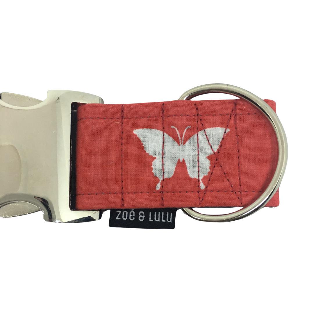 Butterflies Dog Collar