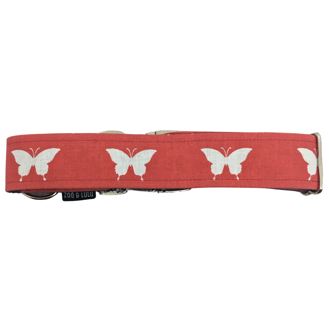 Butterflies Dog Collar