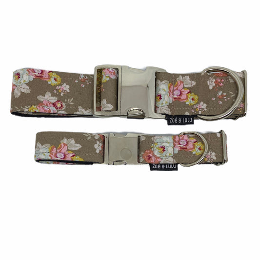 Brussels Dog Collar