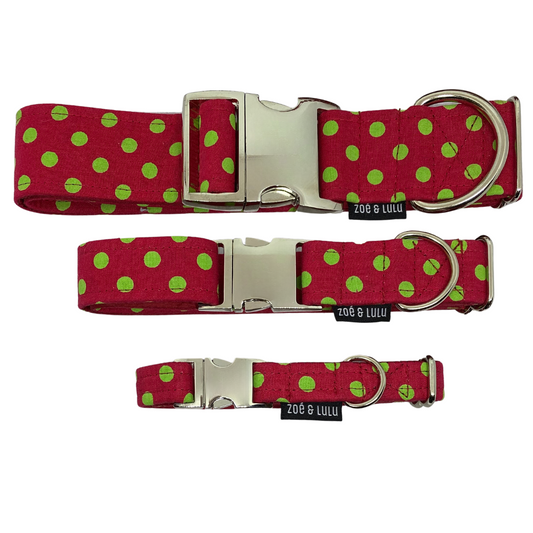 Regina Dog Collar