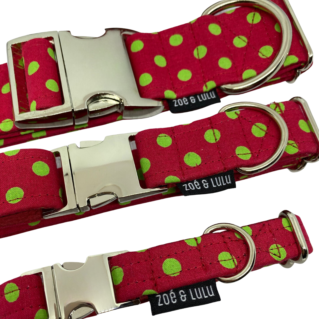 Regina Dog Collar