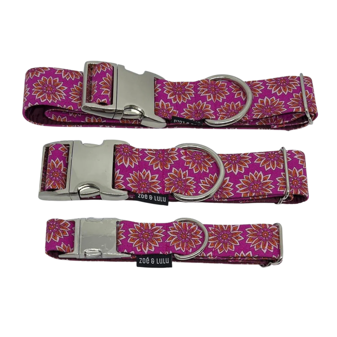 Rome Dog Collar