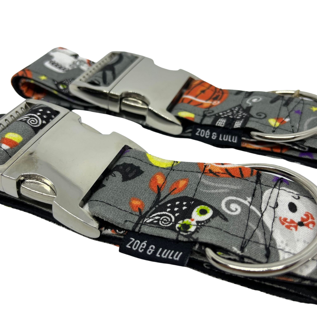 Collier pour Chien Sleepy Hollow