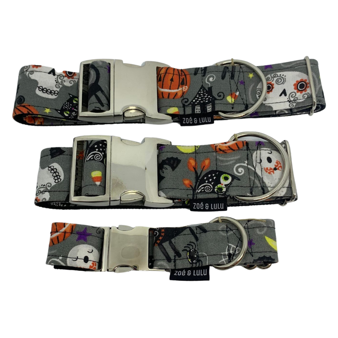 Collier pour Chien Sleepy Hollow