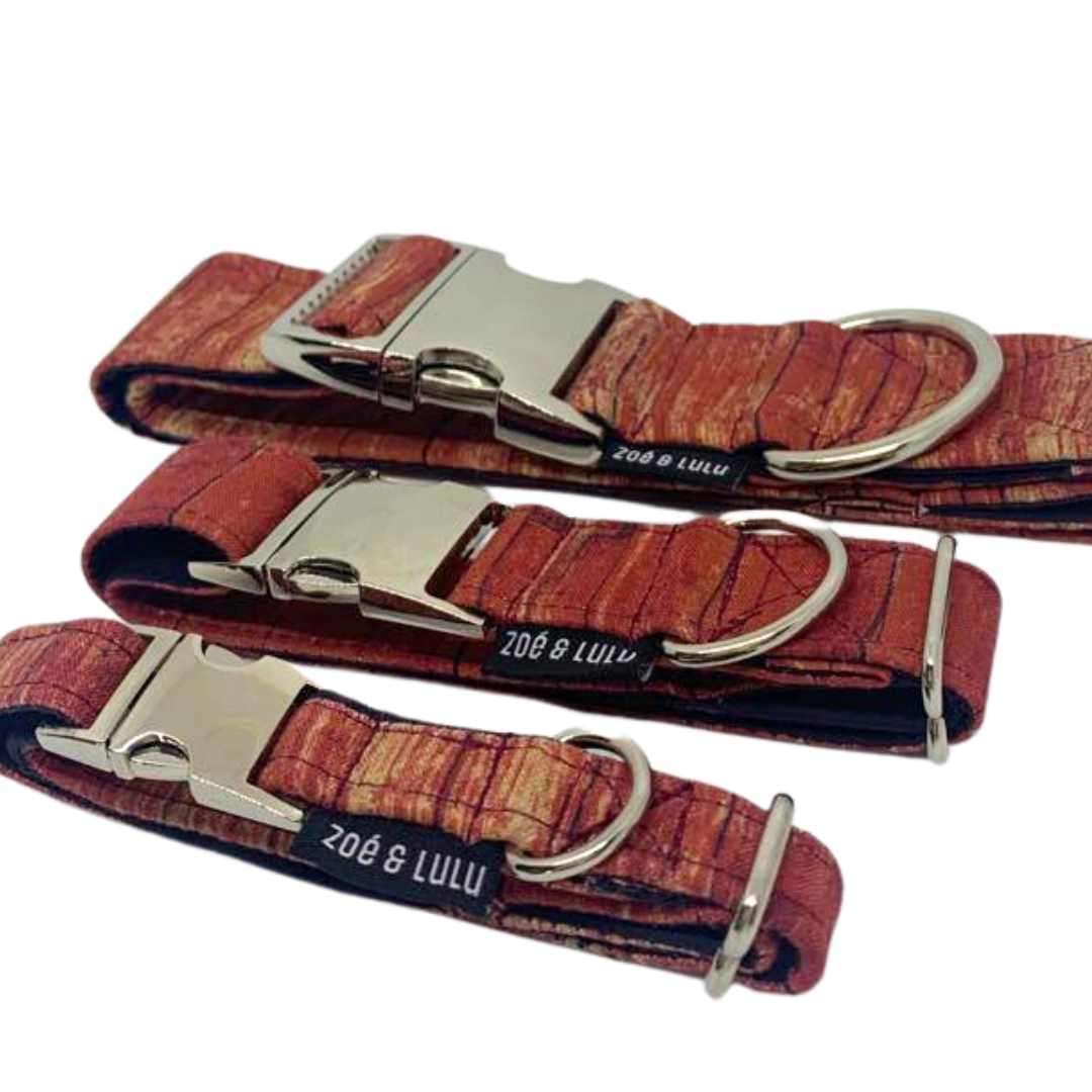 Collier pour Chien St-Tite