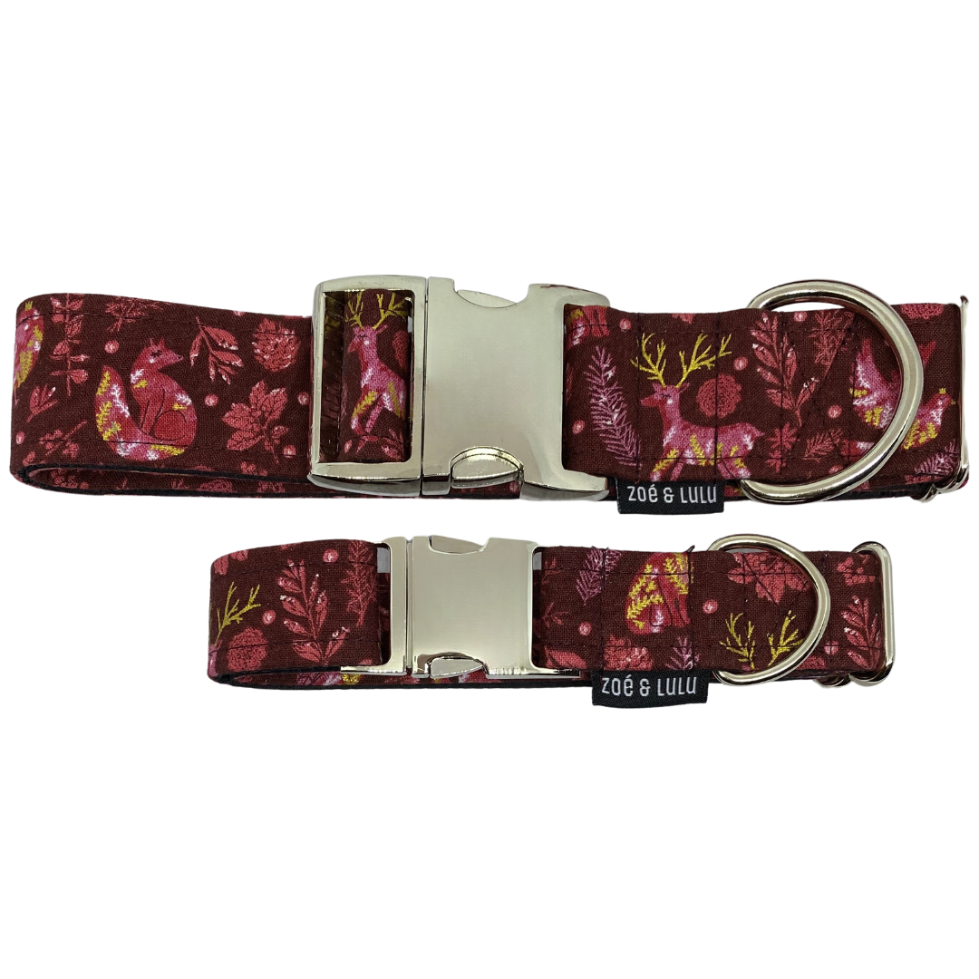 Strasbourg Dog Collar