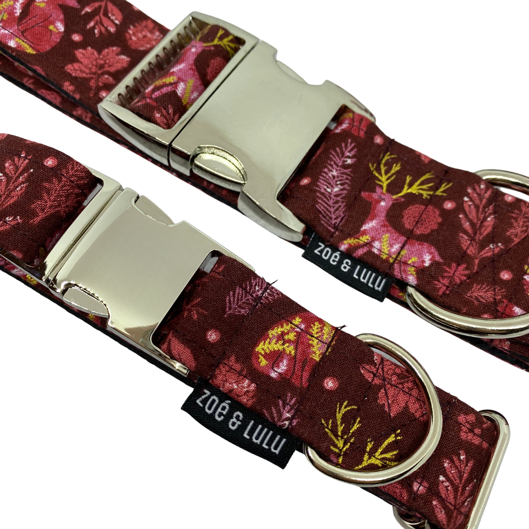 Strasbourg Dog Collar