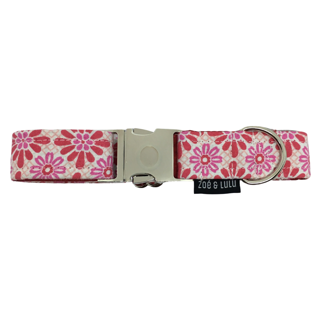 Sydney Dog Collar