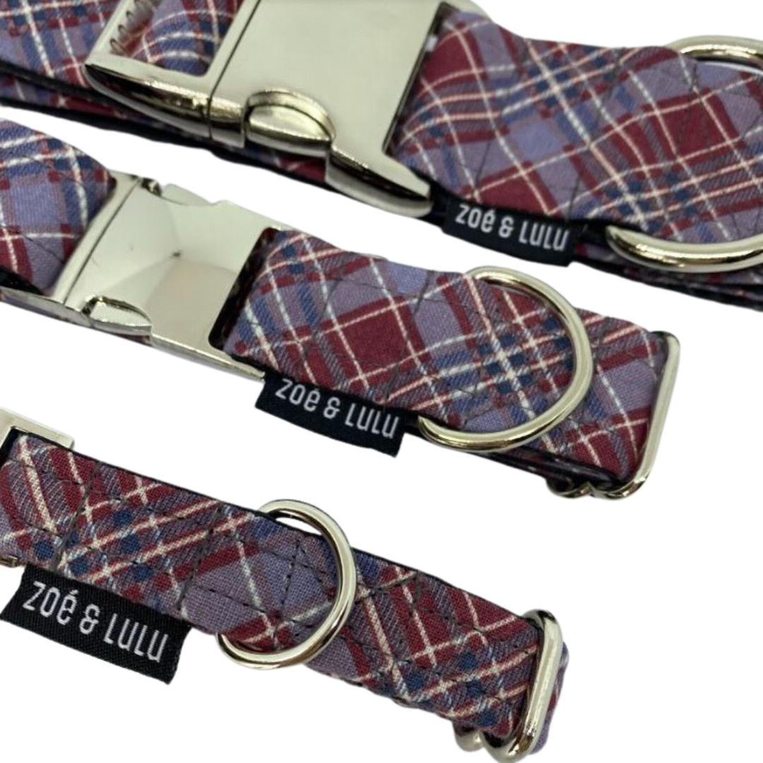 Victoria Dog Collar