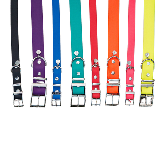 Splash Dog Collar 1"