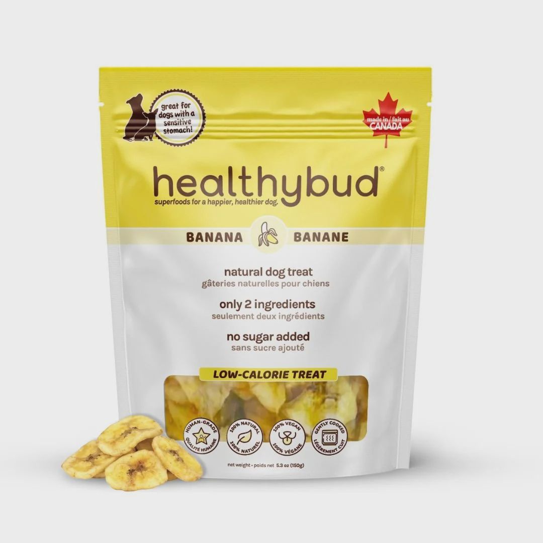Gâteries banane séchée
