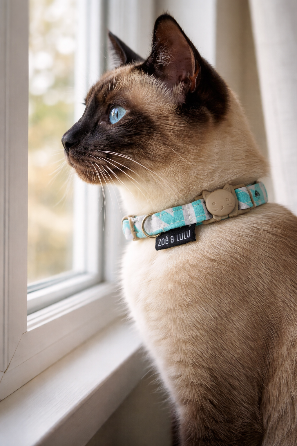 Collier pour Chat Lima