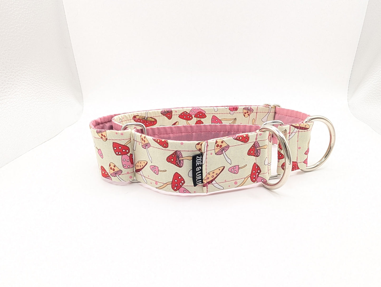 Collier pour Chien Martingale Chanterelle