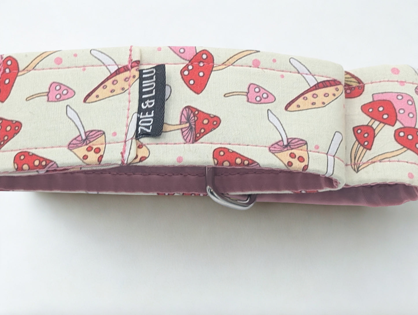 Collier pour Chien Martingale Chanterelle