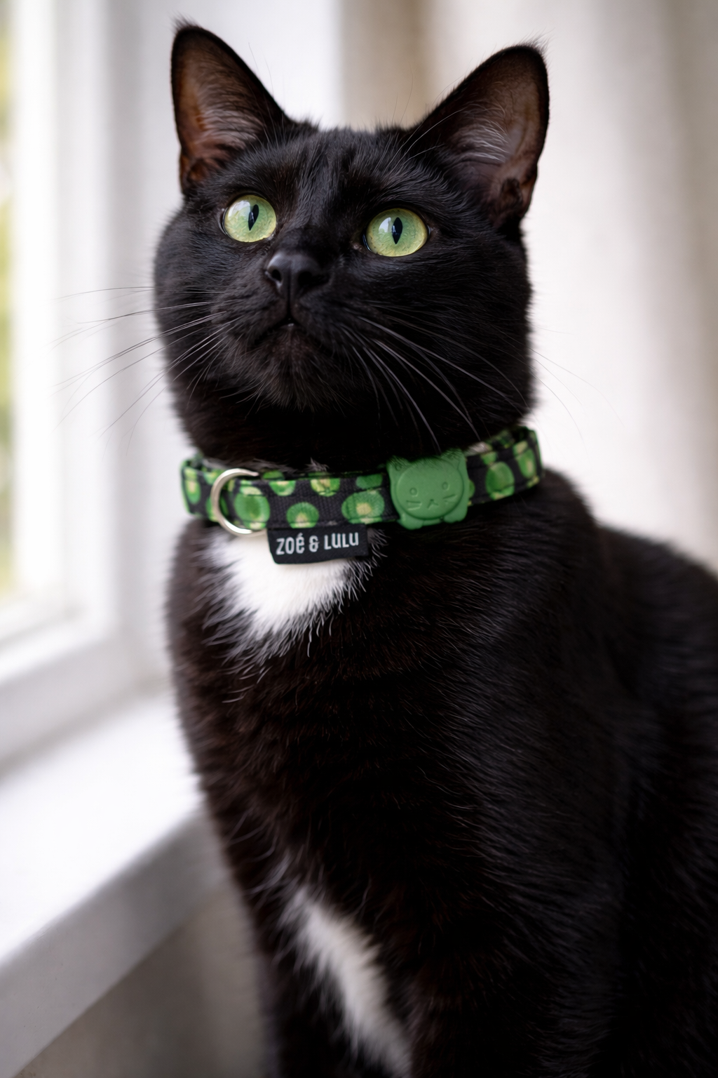 Collier pour Chat Avocats