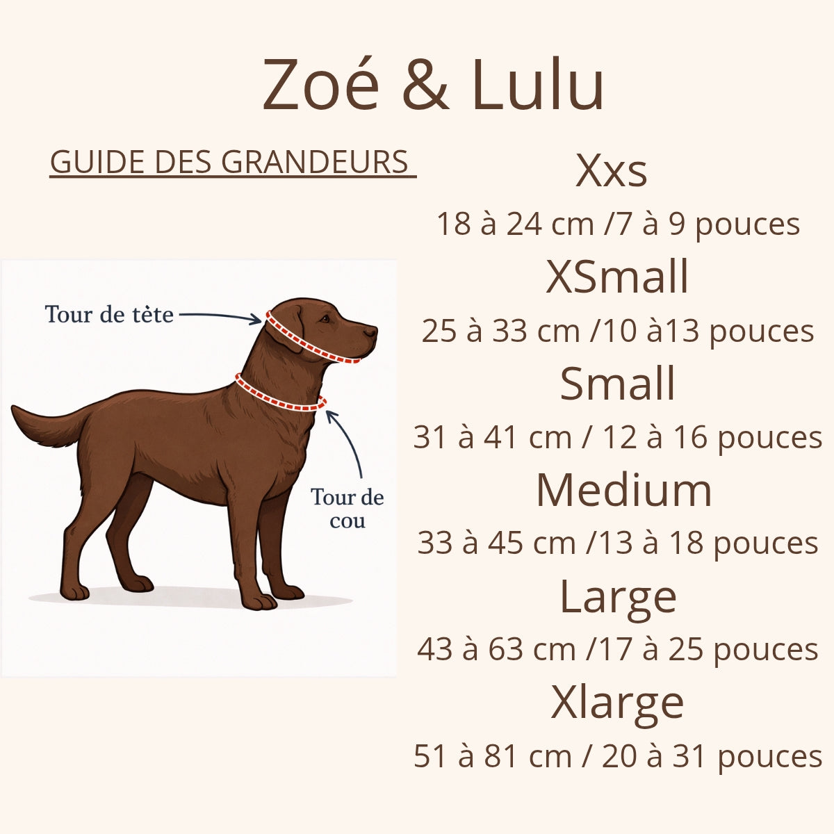 Alexandria Dog Collar