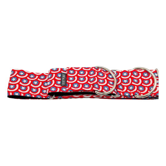 Collier pour Chien martingale Héros du quotidien