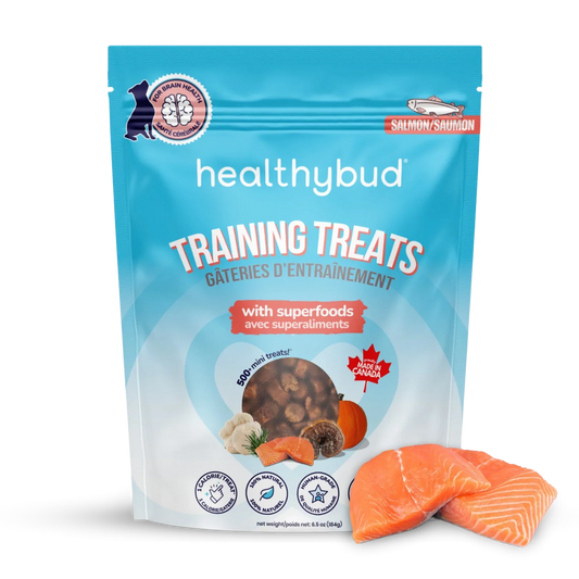Gâteries d'entraînement healthybud pour chien
