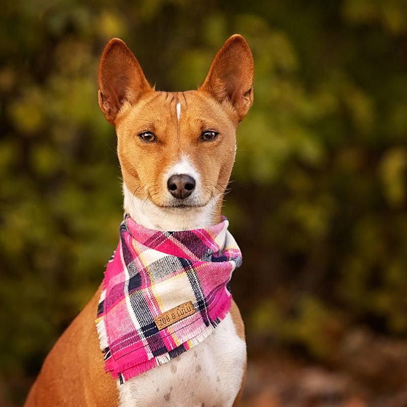 St. Moritz Bandana