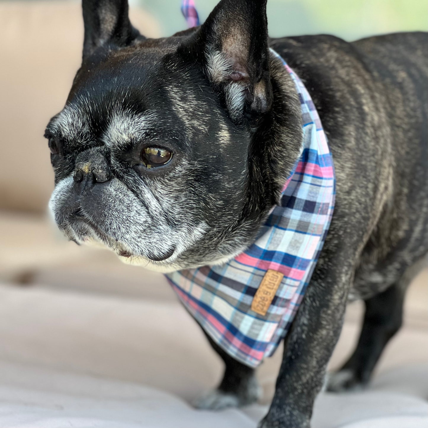 Bombay Tartan Bandana