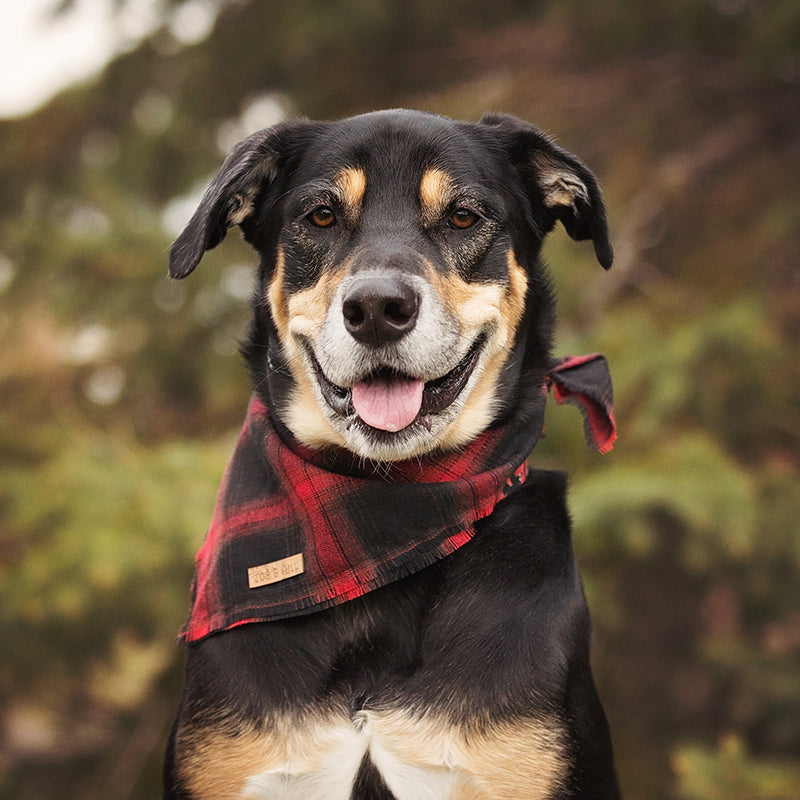 Vancouver Bandana